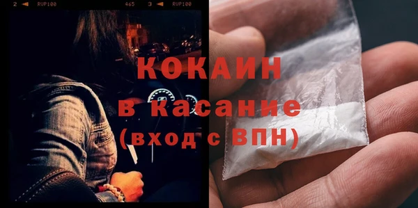 трава Аркадак