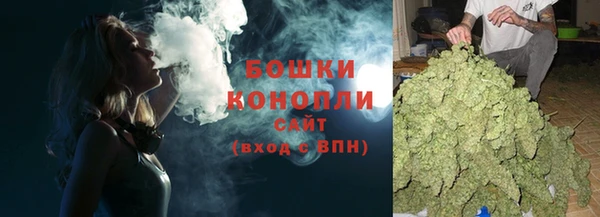 трава Аркадак