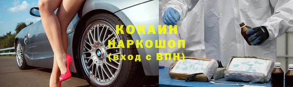 сатива Приозерск