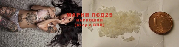 трава Аркадак