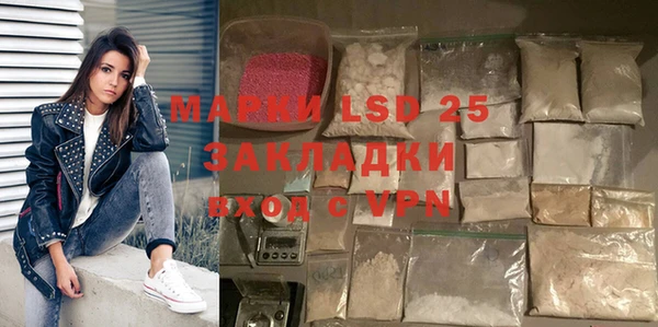 трава Аркадак